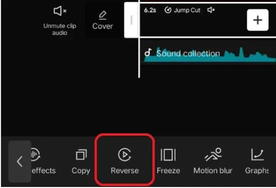 capcut Reverse Video Effect